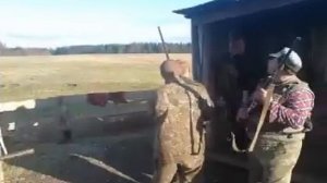 Гусиная охота Архангельская область