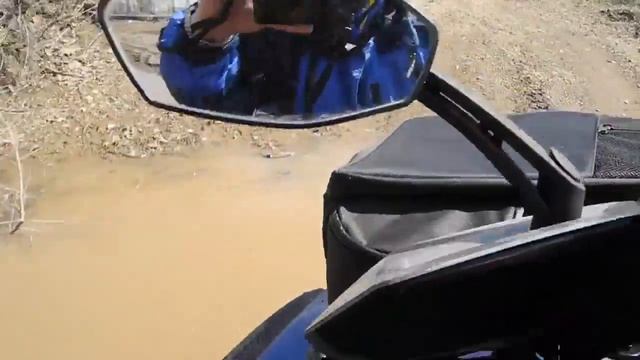 Arctic Cat и cнеготаяние в лесу 2 смотреть онлайн