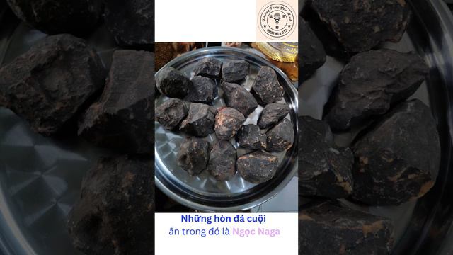 Đánh Thức Sức Mạnh Rồng Thiêng Naga Ngày 28.4.2023 - PHONG THỦY YÊN MINH-0936.814.313