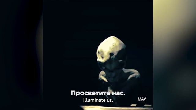 допрос инопланетянина смотреть онлайн