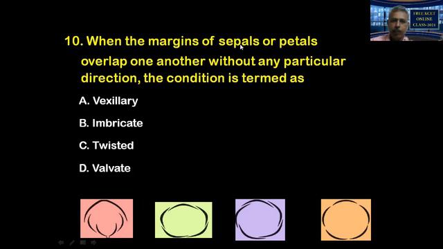 KCET BIOLOGY 12 (Morphology of Flowering Plants) смотреть онлайн