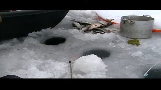 За плотвой на снегоходе DINGO 125 . 03 01 2015 смотреть онлайн
