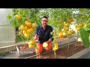 Дача с Виталием Декабревым Сезон 3 / Выпуск 6