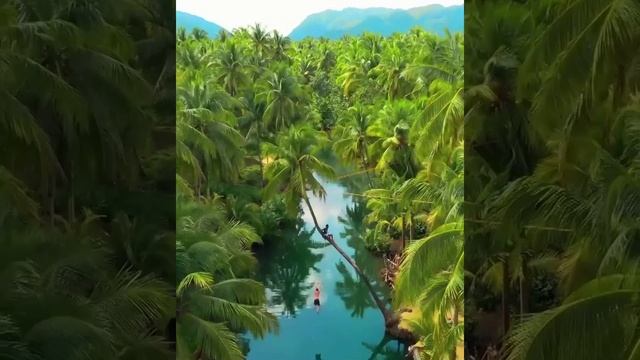 Видео от  GoPro (4)