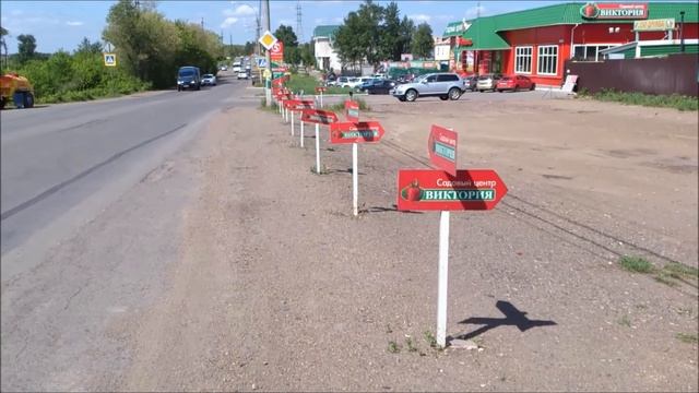 Хвойные для Вашего сада в магазинах Виктория! смотреть онлайн
