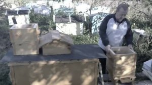 Сравнение улей Варре и Владимирский улей лежак.