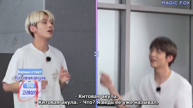 TXT на шоу «TO DO X TXT»  Домашняя Йога, эпизод 40