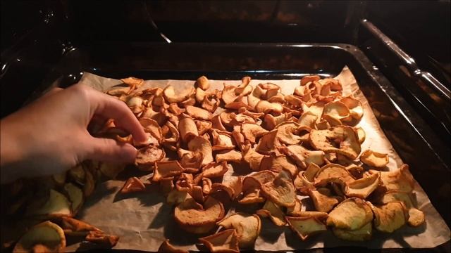 Туризм и Приключения