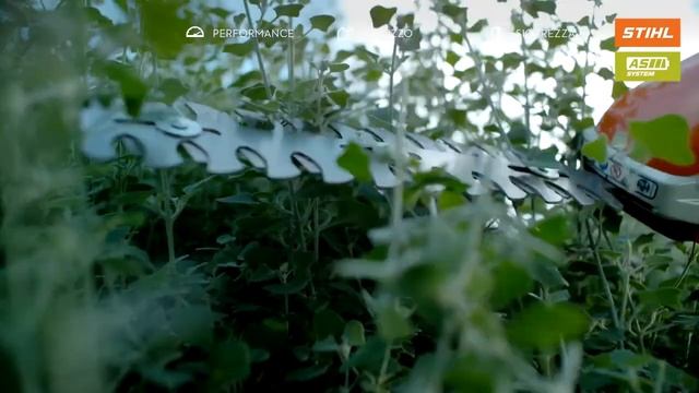 That's Why_STIHL HSA 26 смотреть онлайн