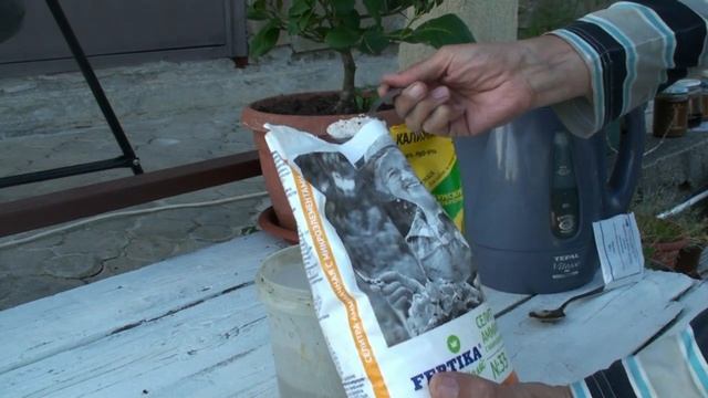 Первая подкормка винограда весной. Как и чем подкормить виноград. смотреть онлайн