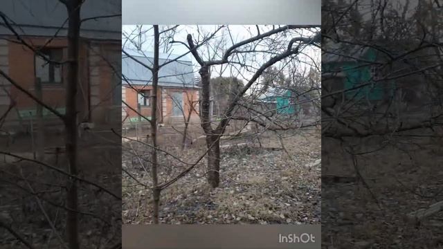 2 дачных дома по цене одного! участок в подарок! Шахова Юлия смотреть онлайн