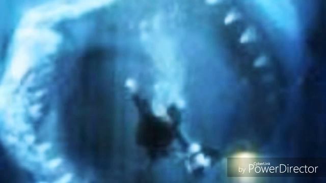 The Megalodon Music Video