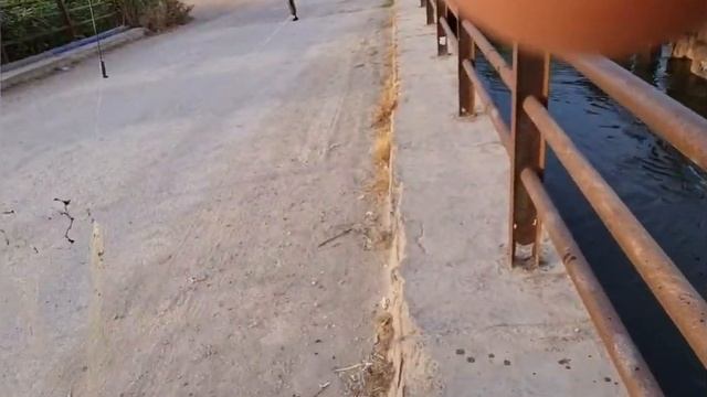 Вот это рыбалка!! кефаль на каждом забросе! Рыбалка на паук 2022. Рыбалка смотреть онлайн