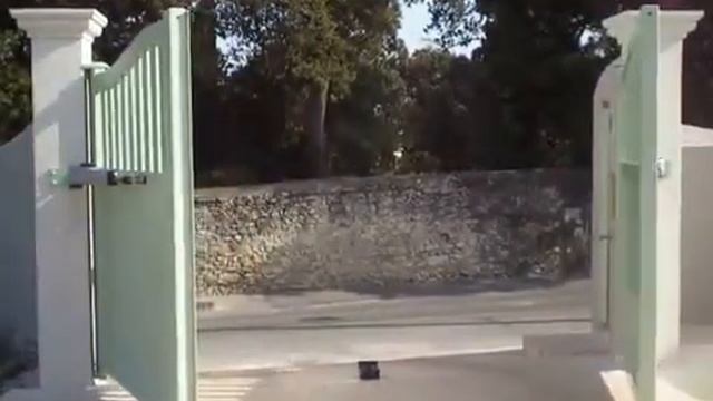 Автоматика для распашных ворот FAAC 415 смотреть онлайн