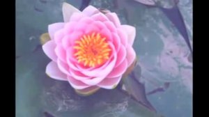 мантра любви и исполнения желаний.творит чудеса.Очень сильная.и красивая!!!