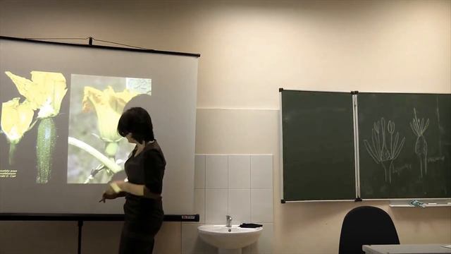 Биология. Платонова А.Г. Морфология растений. Часть 1 смотреть онлайн