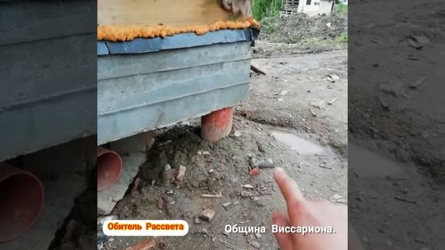 Столбчато-ростверковый Фундамент на водянистом грунте. смотреть онлайн