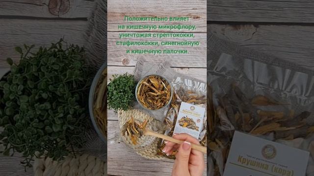 Крушина ( кора) / Травы Горного Крыма смотреть онлайн
