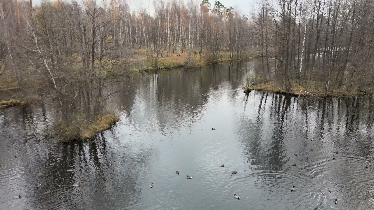 DJI 0292 смотреть онлайн