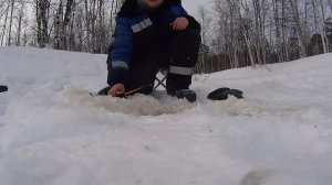 Зимняя рыбалка на червя.