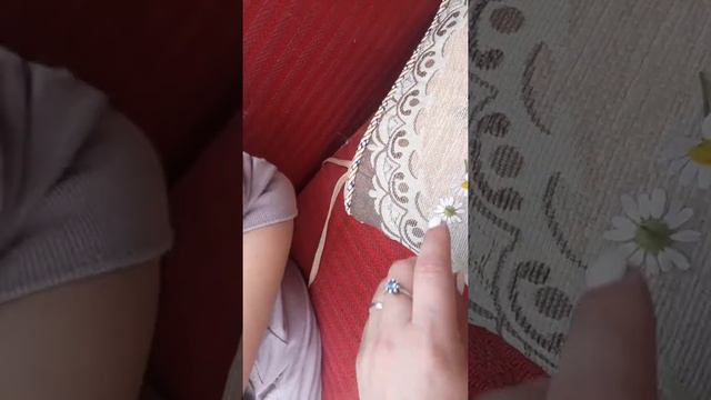 Любит не любит. Ромашка😊 смотреть онлайн