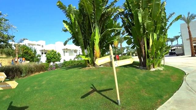 Novotel Palm 5* обзор отеля. Отдых в Египте Новотель пальм 5* Шарм эль шейх. Наама Бей смотреть онлайн