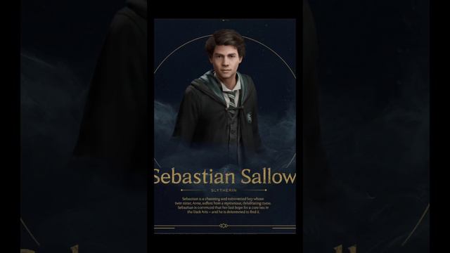 Sebastian Sallow (read desc) смотреть онлайн