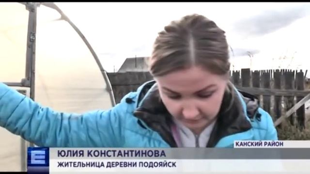 Медведь продолжает держать в страхе поселок под Канском: репортаж из опасного места смотреть онлайн