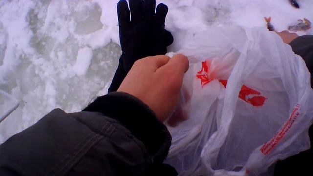 Рыбалка в глухозимье. Ловля некрупного окуня. смотреть онлайн
