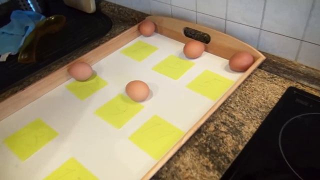 Научные Нубы - Варим смотреть онлайн