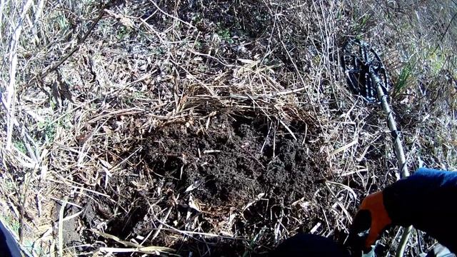 Онлайн коп советских монеток.Прогулка с MINELAB X-TERRA 705. смотреть онлайн