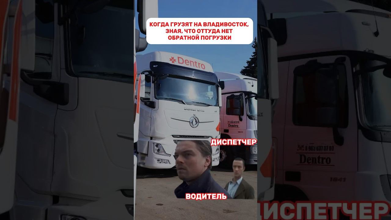 В логистике важны гарантии #dentro #дальнобой #дальнобойщик #дентро #логист #логистика смотреть онлайн