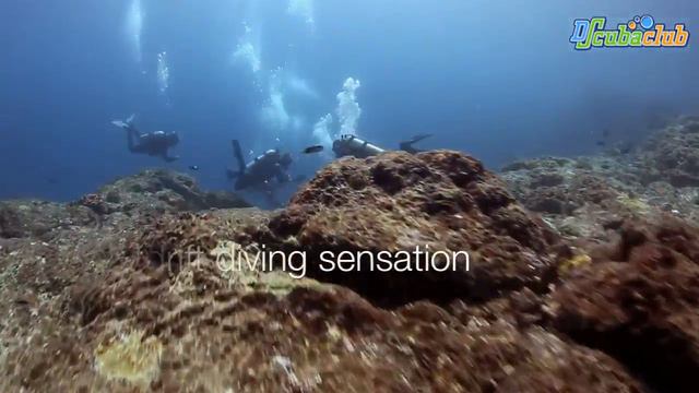 Diving Komodo - HD смотреть онлайн
