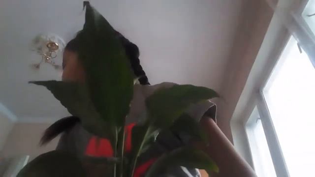 Гүлдер смотреть онлайн