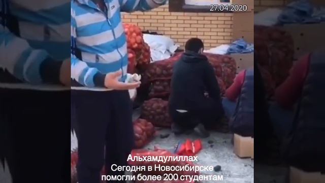 Кумак ба 200 донишчуй ш. НОВОСИБИРСК смотреть онлайн