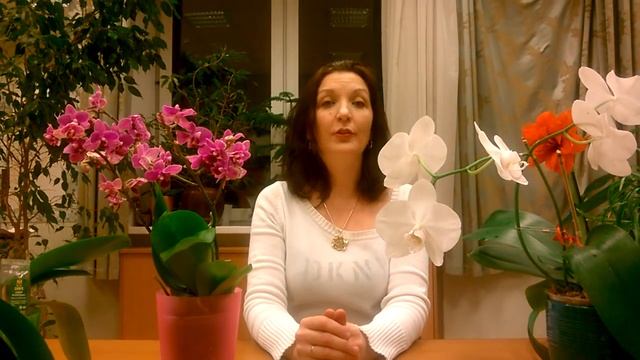НОВЫЕ И СТАРЫЕ ОРХИДЕИ _ ПРОФИЛАКТИКА И ПРЕДУПРЕЖДЕНИЕ БОЛЕЗНЕЙ _ смотреть онлайн