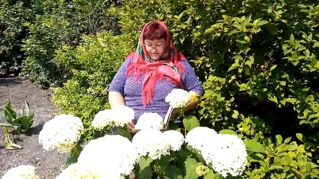 СДК с. Карагайла [День сказок] смотреть онлайн