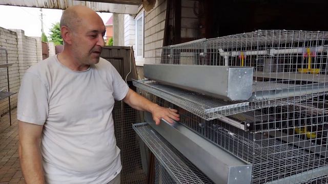 ДВУХ ЯРУСНАЯ КЛЕТКА ДЛЯ ПЕРЕПЕЛОВ смотреть онлайн