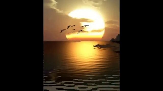 Сергей Чекалин, прогулка под дождём #music22 #музыка #чекалин смотреть онлайн