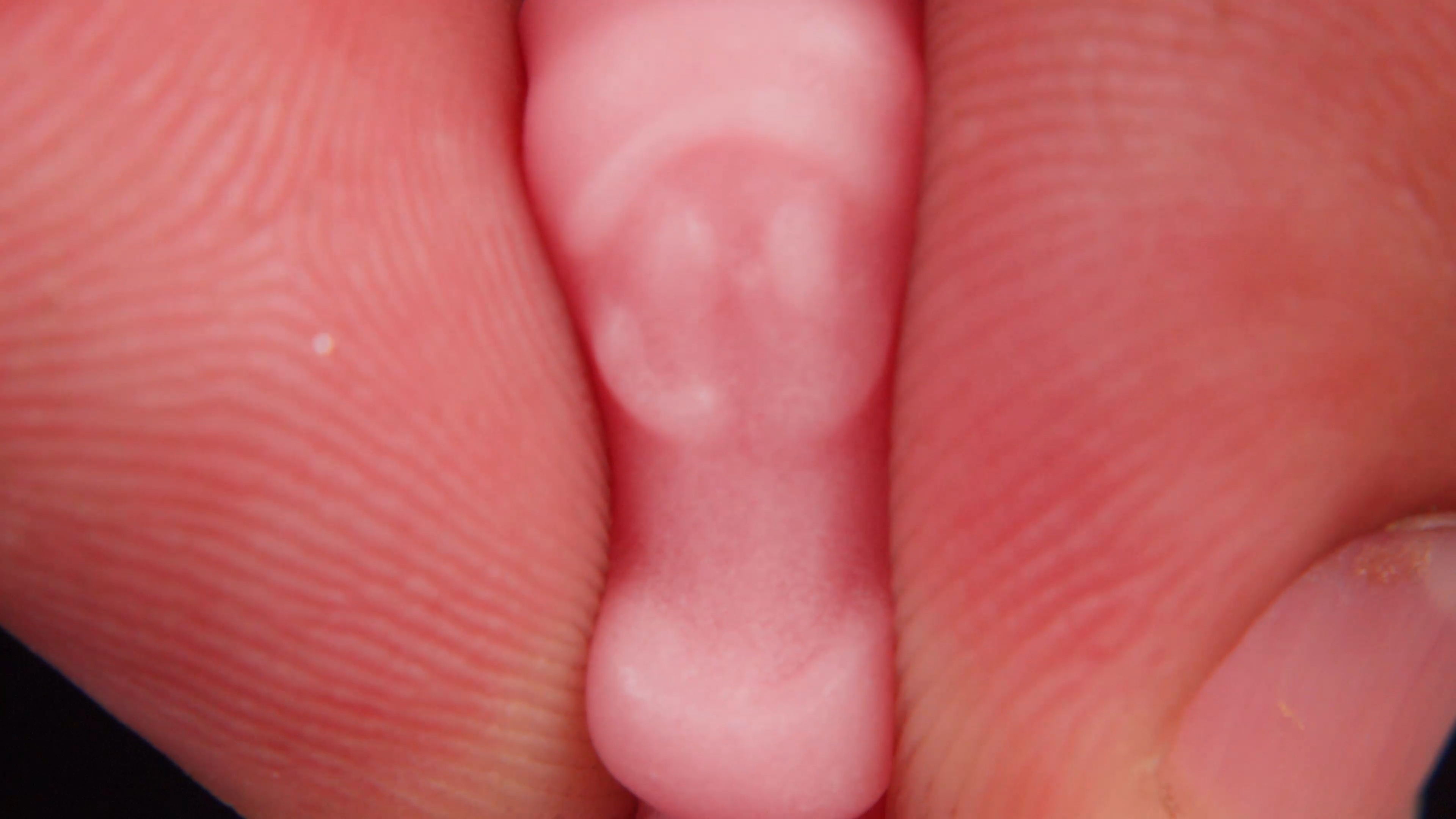 ЧЕРВЯЧЕК смотреть онлайн