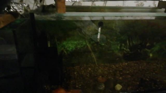 Ардуино и аквариум ч.3 смотреть онлайн