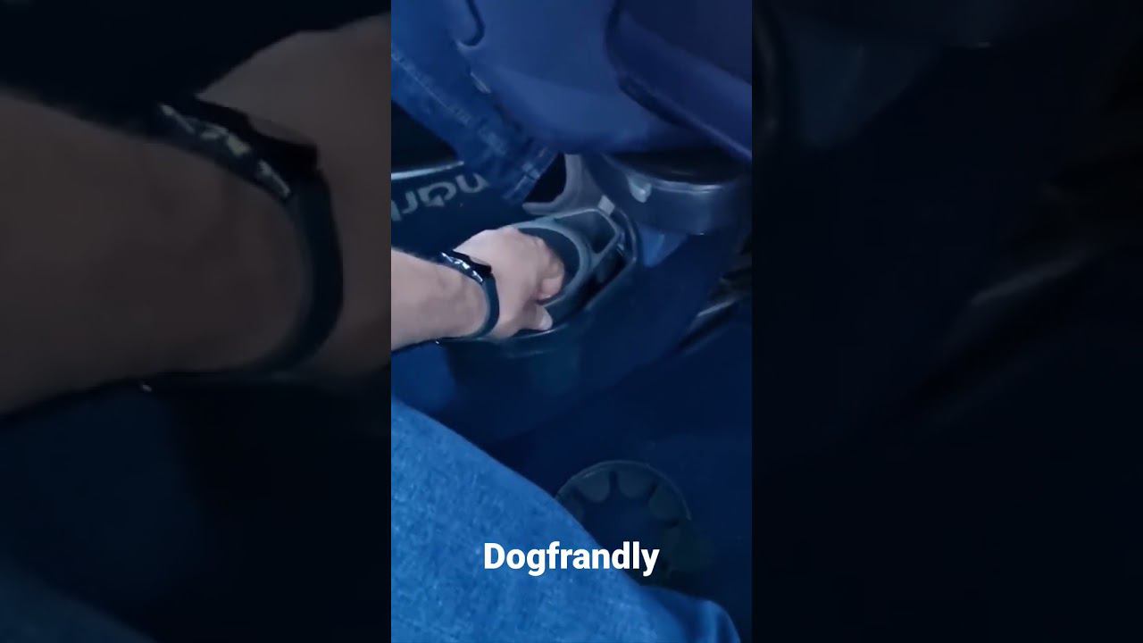 Кормушка для животных в SMART смотреть онлайн