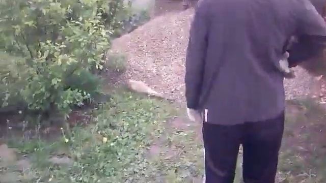 нам сегодня на дачу привезли щебенку!!!!! смотреть онлайн