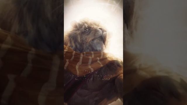 Подпишись) #египетскаямифология #богиегипта #озвучка #мифология #боги #египет #фараоны #мифы #рек смотреть онлайн