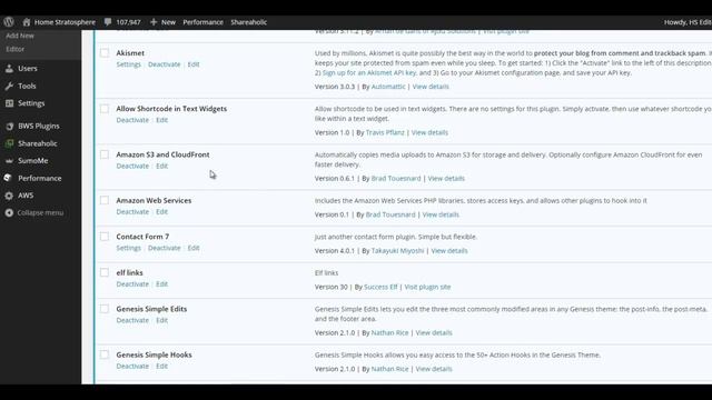 WordPress Blog Set Up and Plugins Used смотреть онлайн