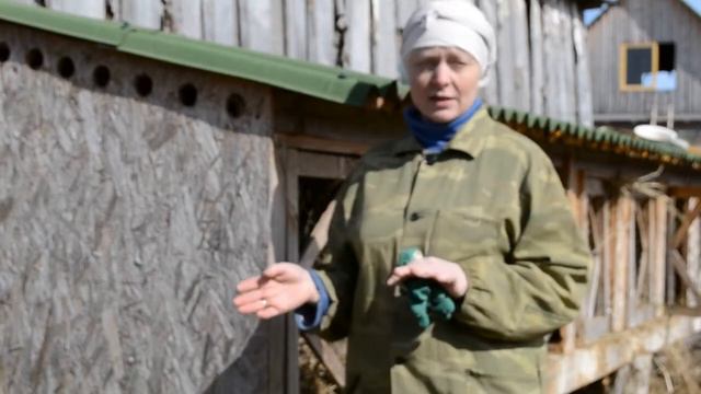 Весна в деревне, попытка номер два. Про петухов и бабулек смотреть онлайн