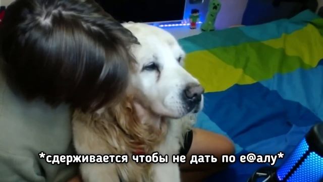 Повторил Звуки Из Майнкрафта В Реальной Жизни 3 (не опять, а снова!) смотреть онлайн