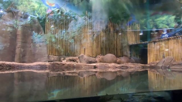 Кулинарные Путешествия по Гастрономическим Культурам