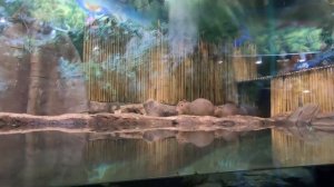 Москвариум на ВДНХ | Что посмотреть | Сколько стоит