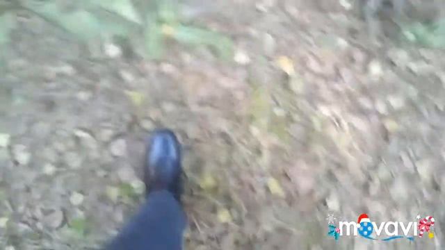 Сбор грибов. Маслята и рыжики. Лето 2018 г смотреть онлайн